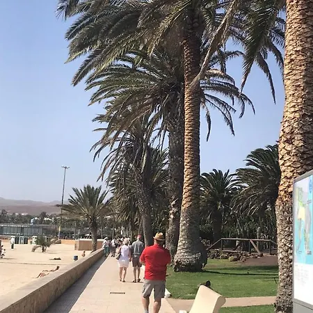 Delia Castillo 5a * 칼레타데푸스테