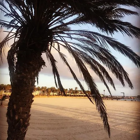 Delia Castillo 5a 아파트 *