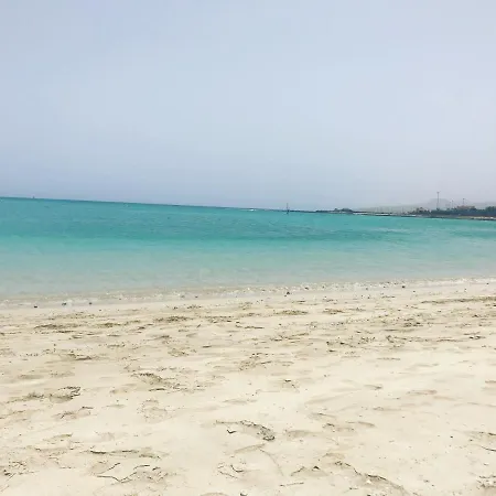 Delia Castillo 5a 公寓